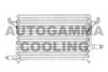 AUTOGAMMA 101575 Condenser, air conditioning